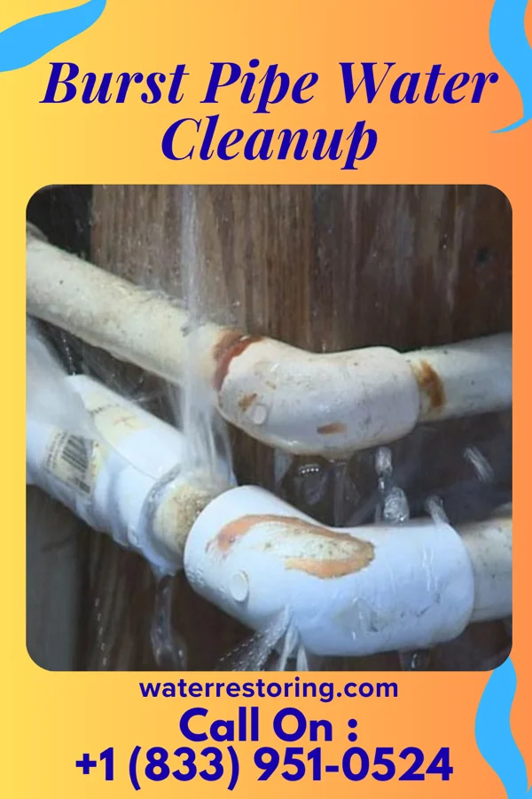 Burst Pipe Water Cleanup in Steilacoom, WA