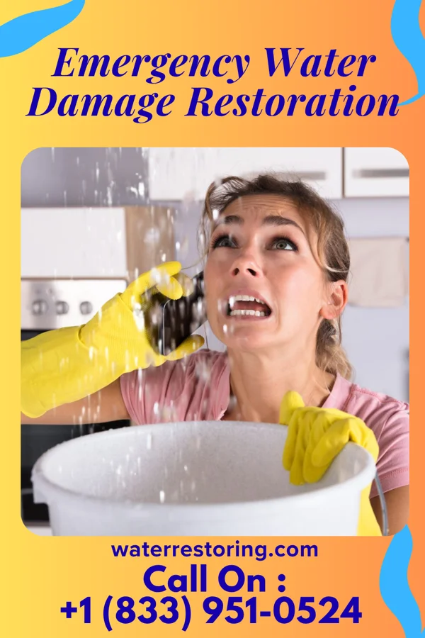 Emergency Water Damage Restoration in Steilacoom, WA