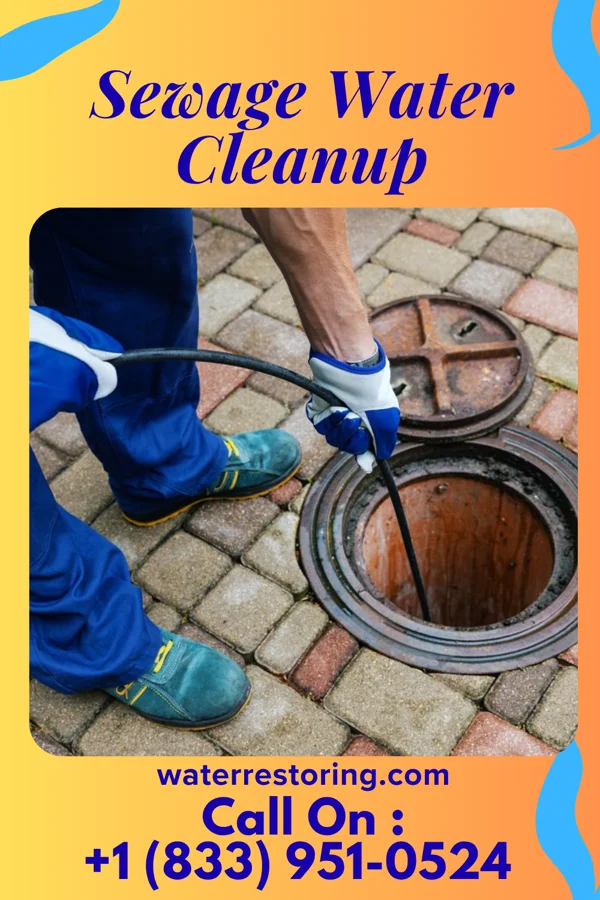 Sewage Water Cleanup in Steilacoom, WA